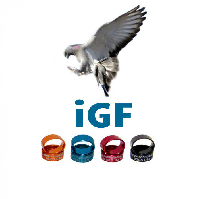 İGF Güvercin Bilezikleri İstanbul Güvercin Federasyonu Kuş Markaları - 50 Adet