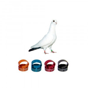 Bango Güvercin Metal Bilezikleri, Şahsi Bango Kuşları Markaları - 50 Adet