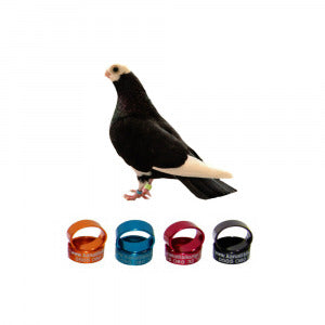 Baska Güvercin Metal Bilezikleri, Şahsi Baska Kuşları Markaları - 50 Adet