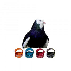 Dönek Güvercin Metal Bilezikleri, Şahsi Dönek Kuşları Markaları - 50 Adet