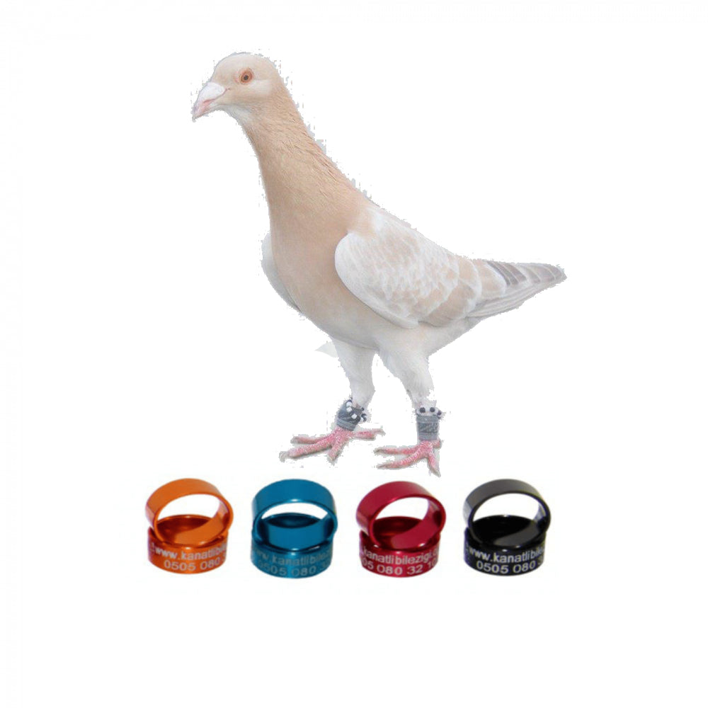 Filo Güvercin Metal Bilezikleri, Şahsi Filo Kuşları Markaları İçin Özel Tasarım - 50 Adet