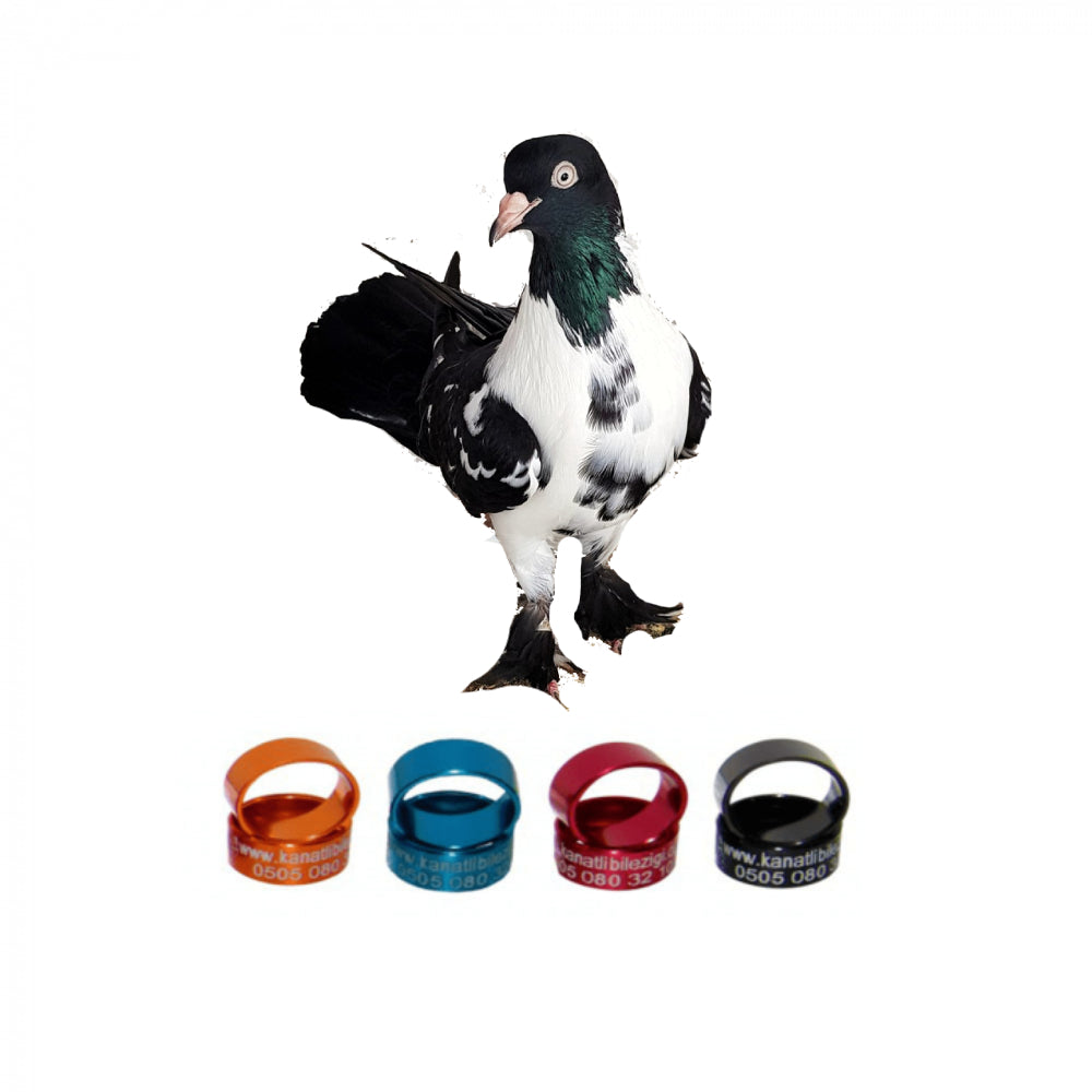 Kelebek Güvercin Metal Bilezikleri, Şahsi Kelebek Kuşları Markaları - 50 Adet