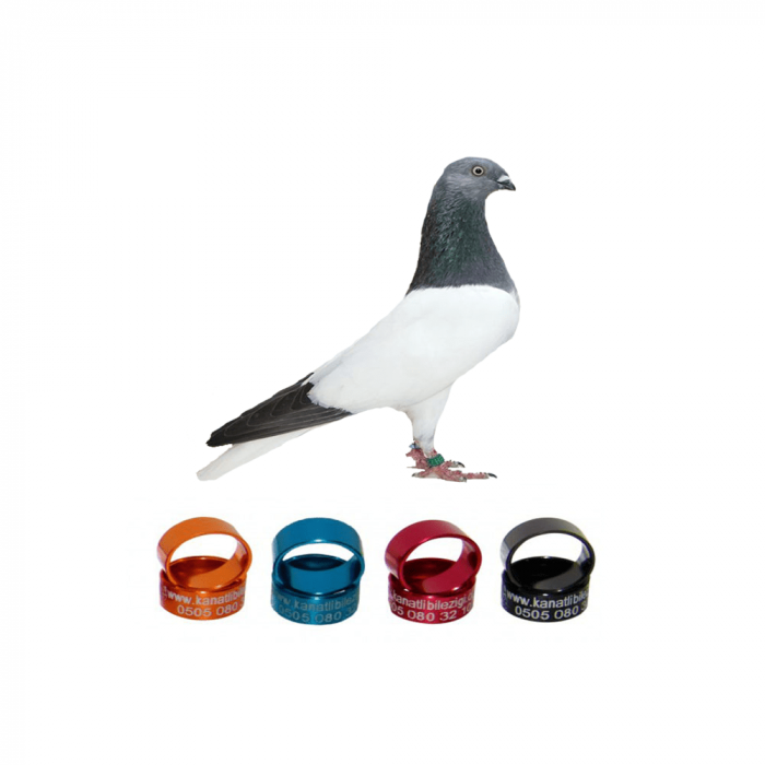 Tip Güvercin Metal Bilezikleri, Şahsi Tip Kuşları Markaları İçin Özel Tasarım - 50 Adet