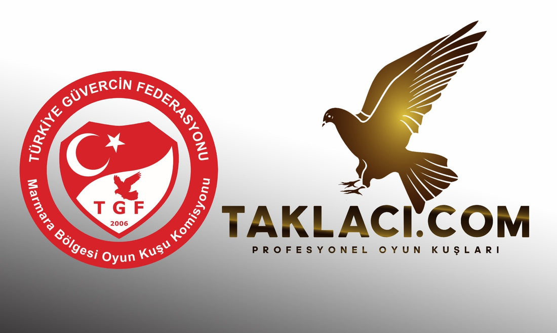 Türkiye Güvercin Federasyonu (TGF): Türkiye'deki Güvercin Yetiştiriciliğinin Lider Kurumu