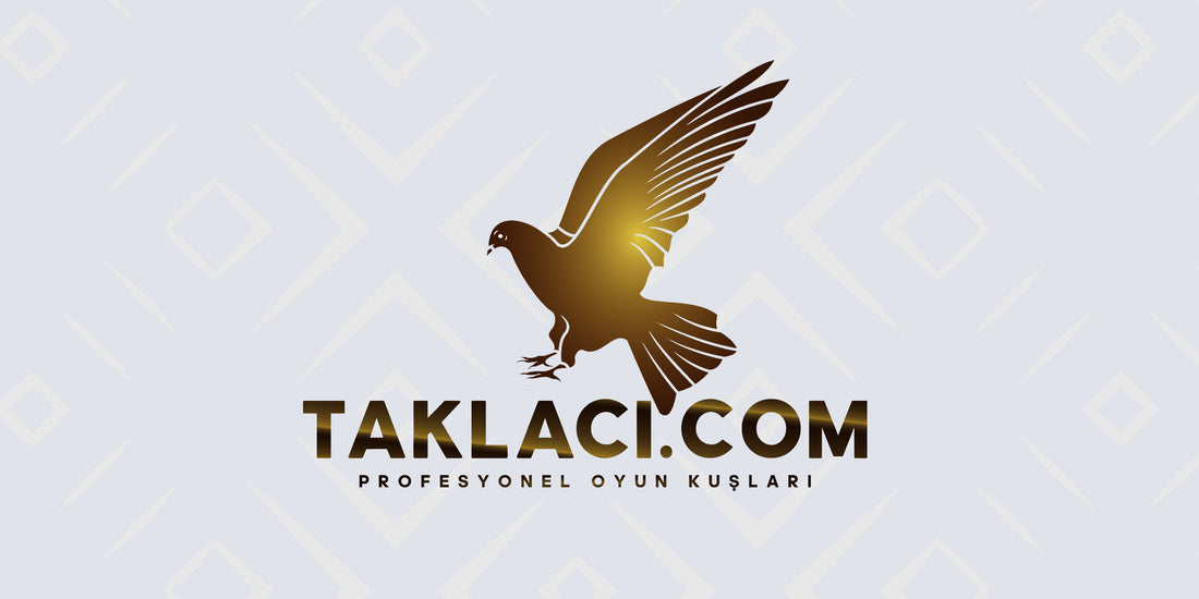 Taklacı.com Projesi ve Destekçileri