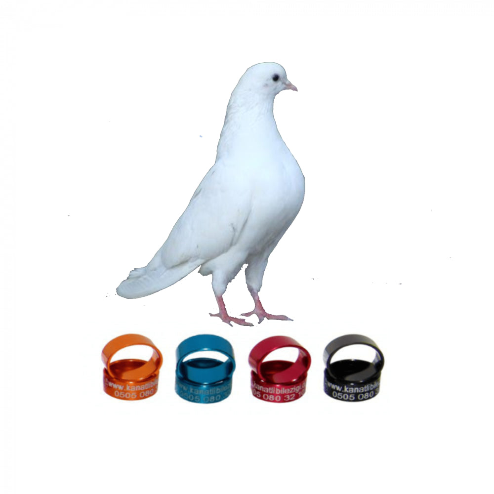 Çorum Çıplağı Güvercin Metal Bilezikleri, Şahsi Çorum Çıplağı Kuşları Markaları - 50 Adet