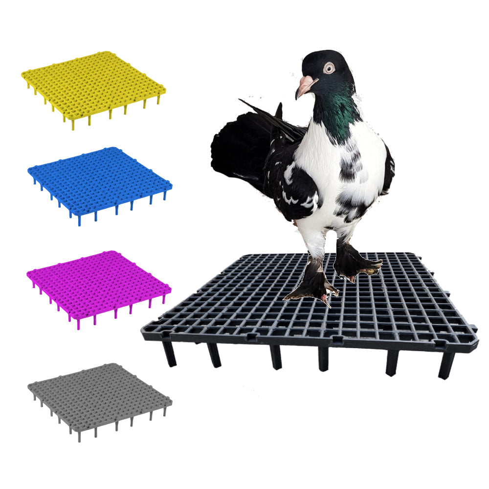 Renkli Plastik Güvercin Kümes Yer Izgaraları 30x30
